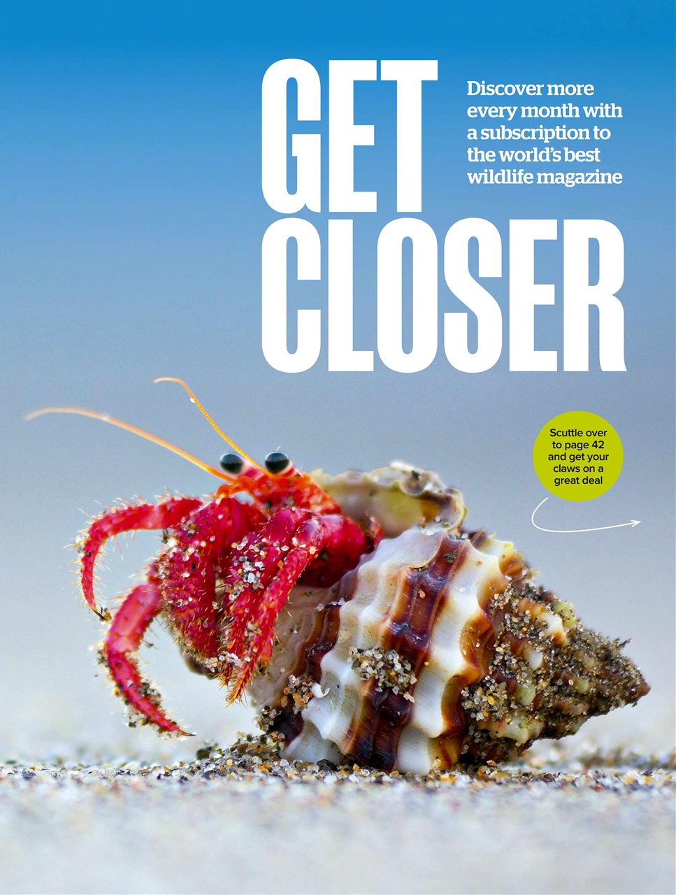 BBC Wildlife Magazine Preview Pages
