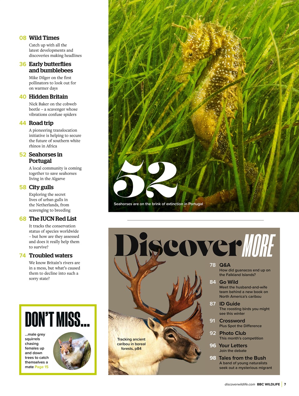BBC Wildlife Magazine Preview Pages