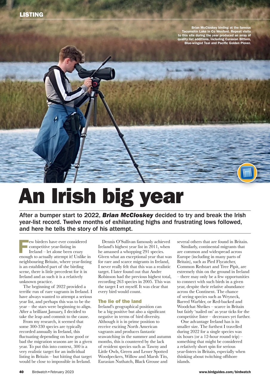 Birdwatch Magazine Preview Pages