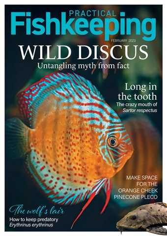 Practical Fishkeeping issue Practical Fishkeeping February 2023