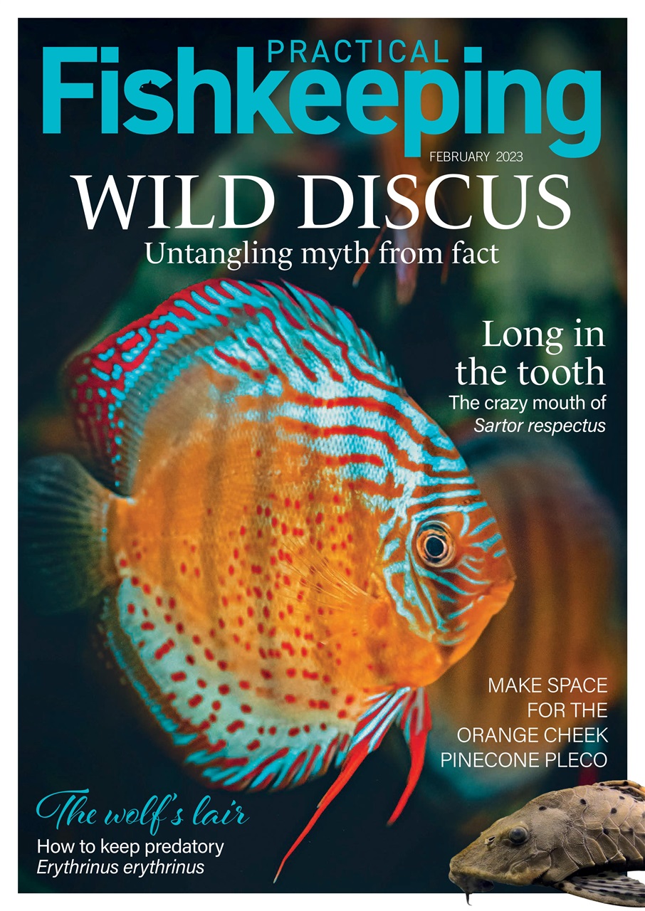 Practical Fishkeeping Preview Pages