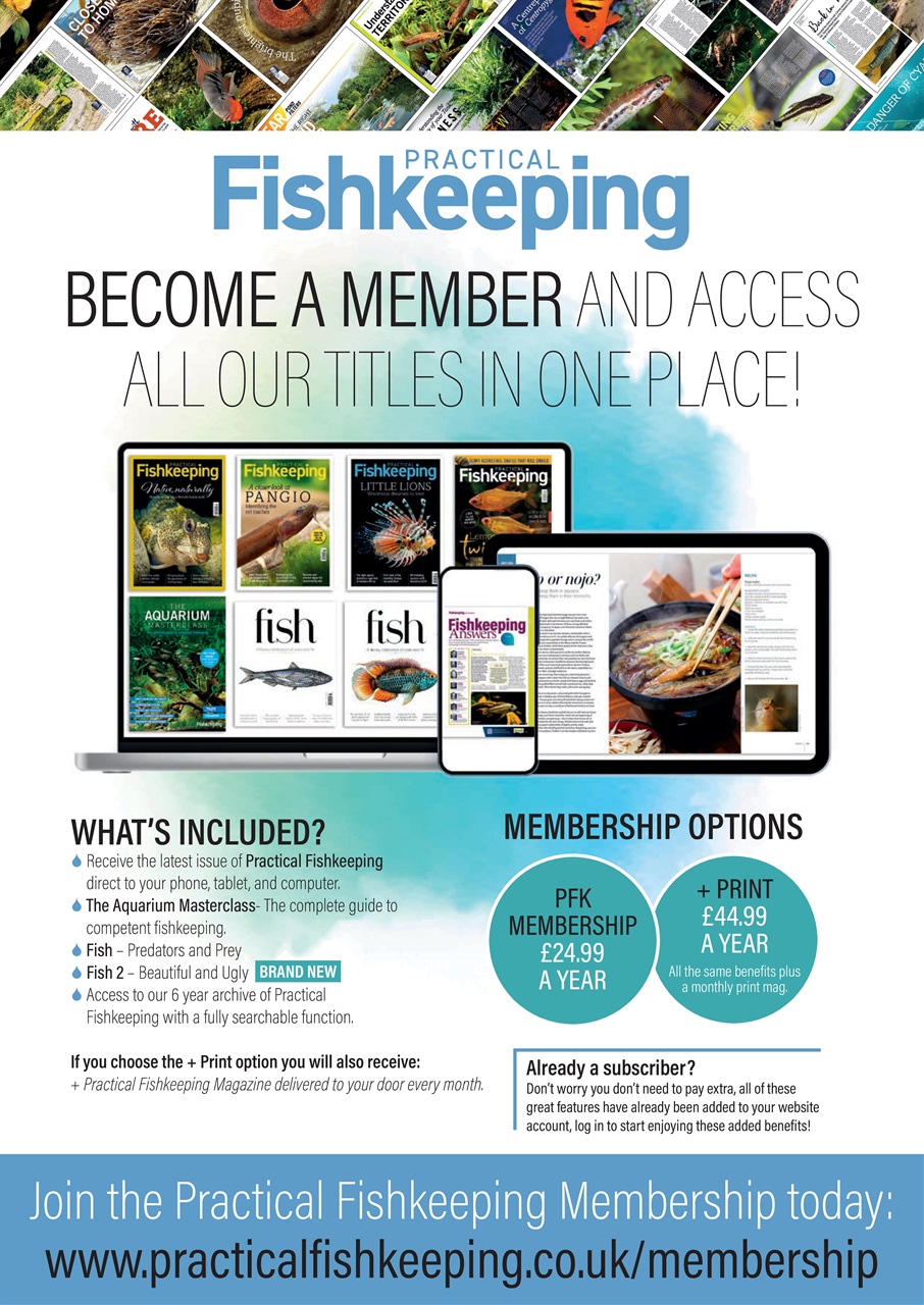 Practical Fishkeeping Preview Pages