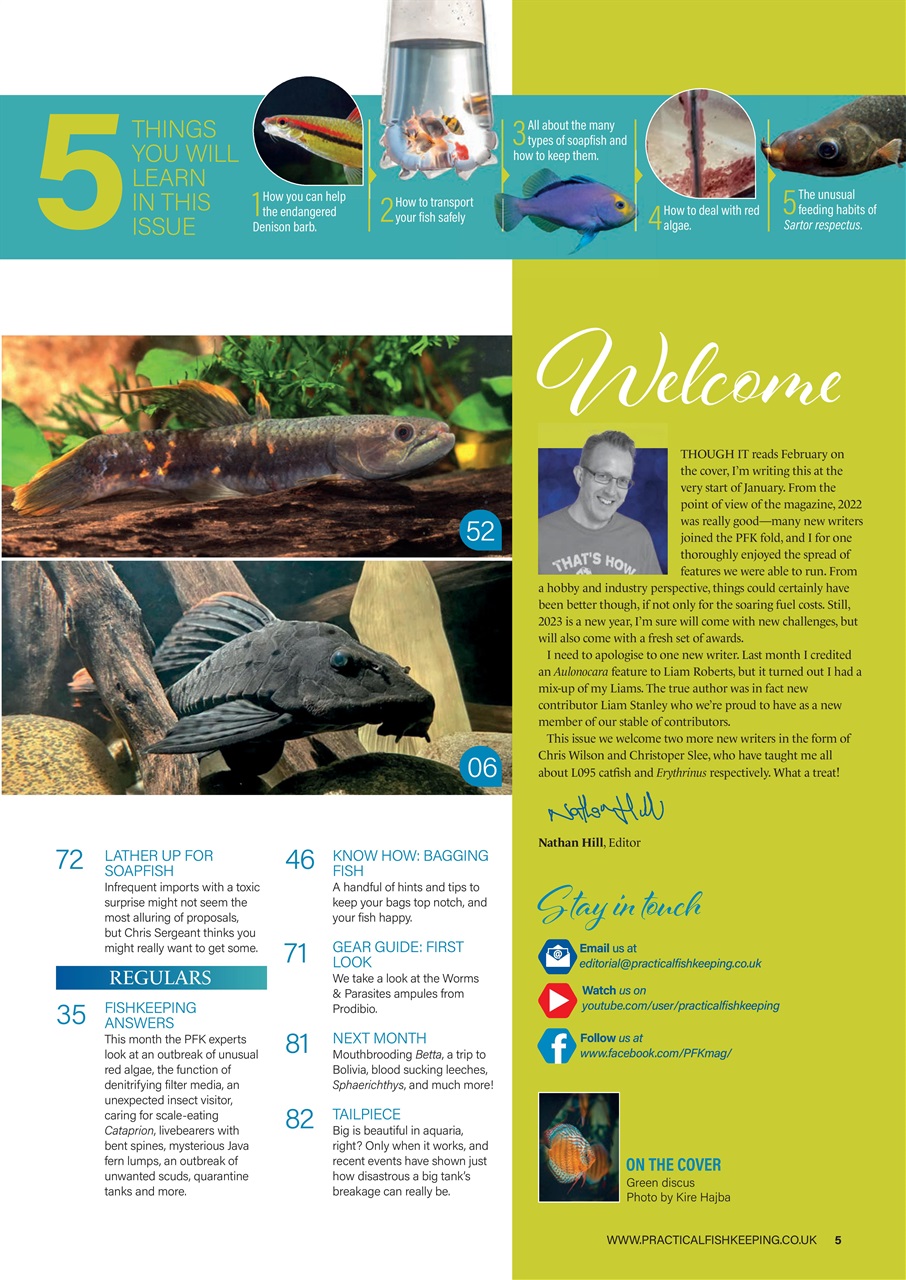 Practical Fishkeeping Preview Pages