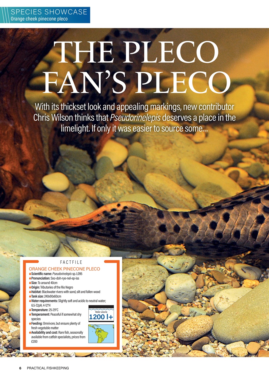 Practical Fishkeeping Preview Pages