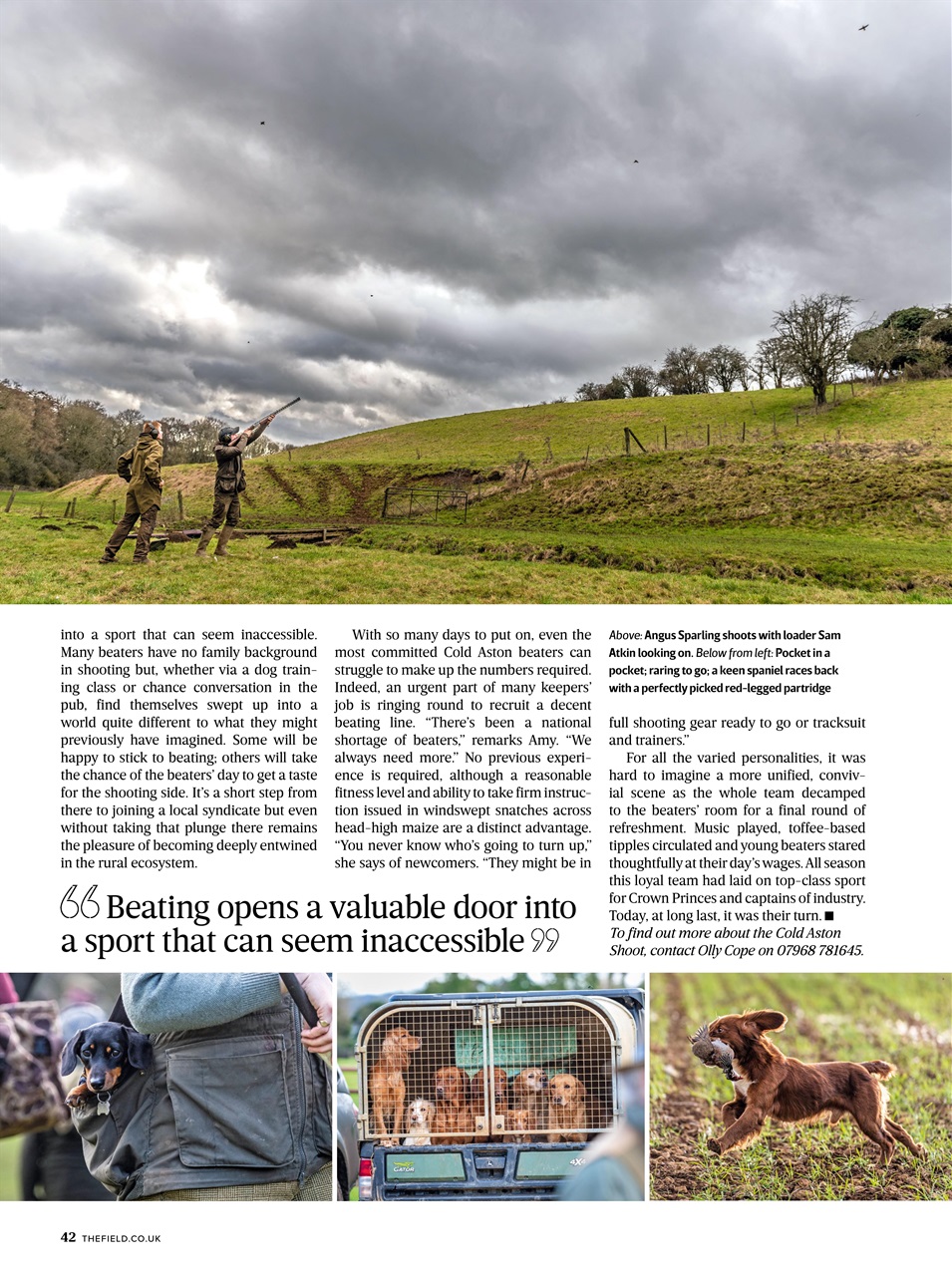 The Field Preview Pages