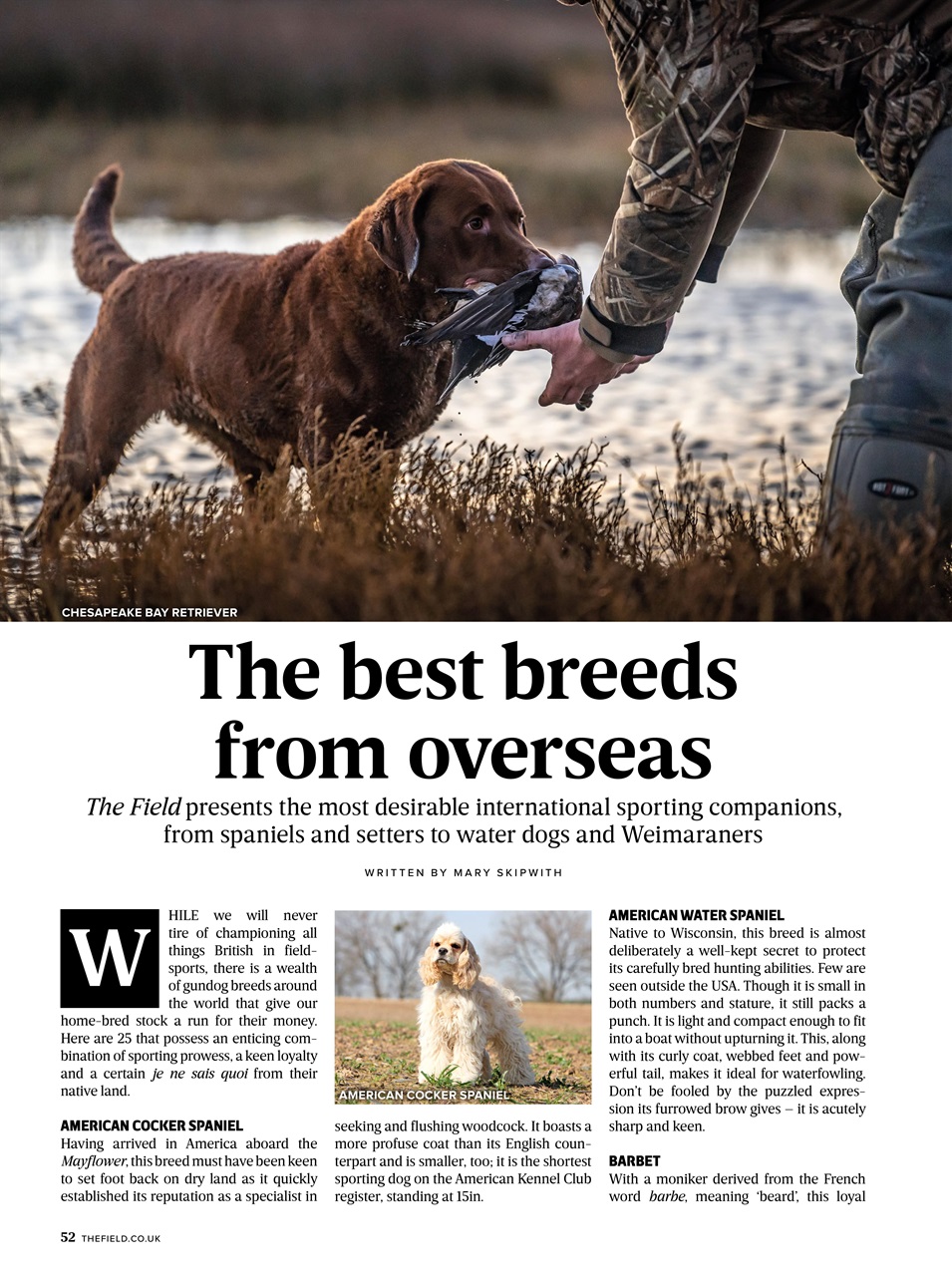 The Field Preview Pages