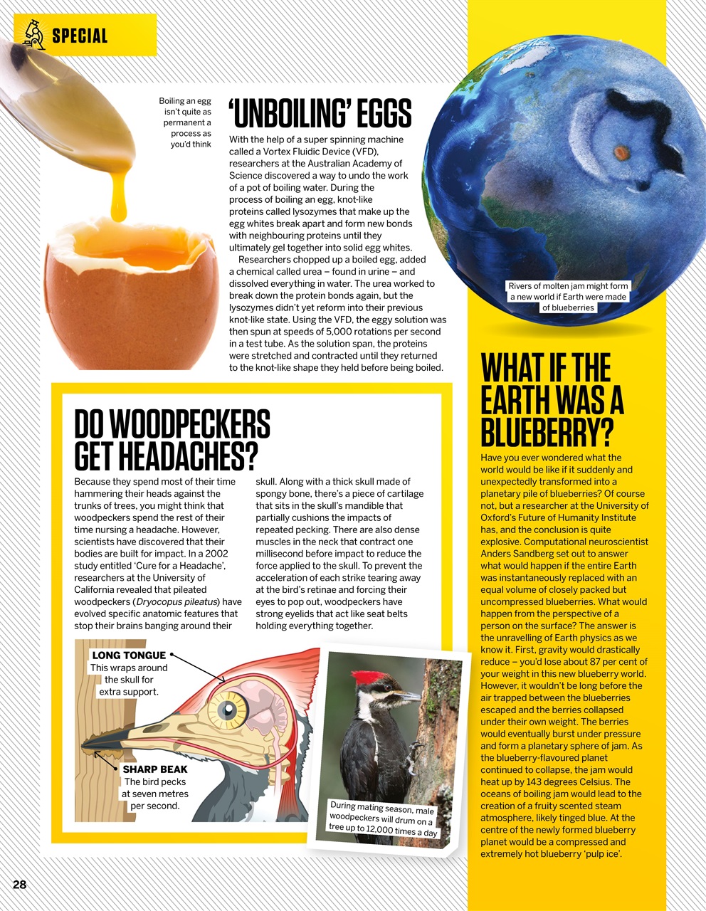 How It Works Preview Pages