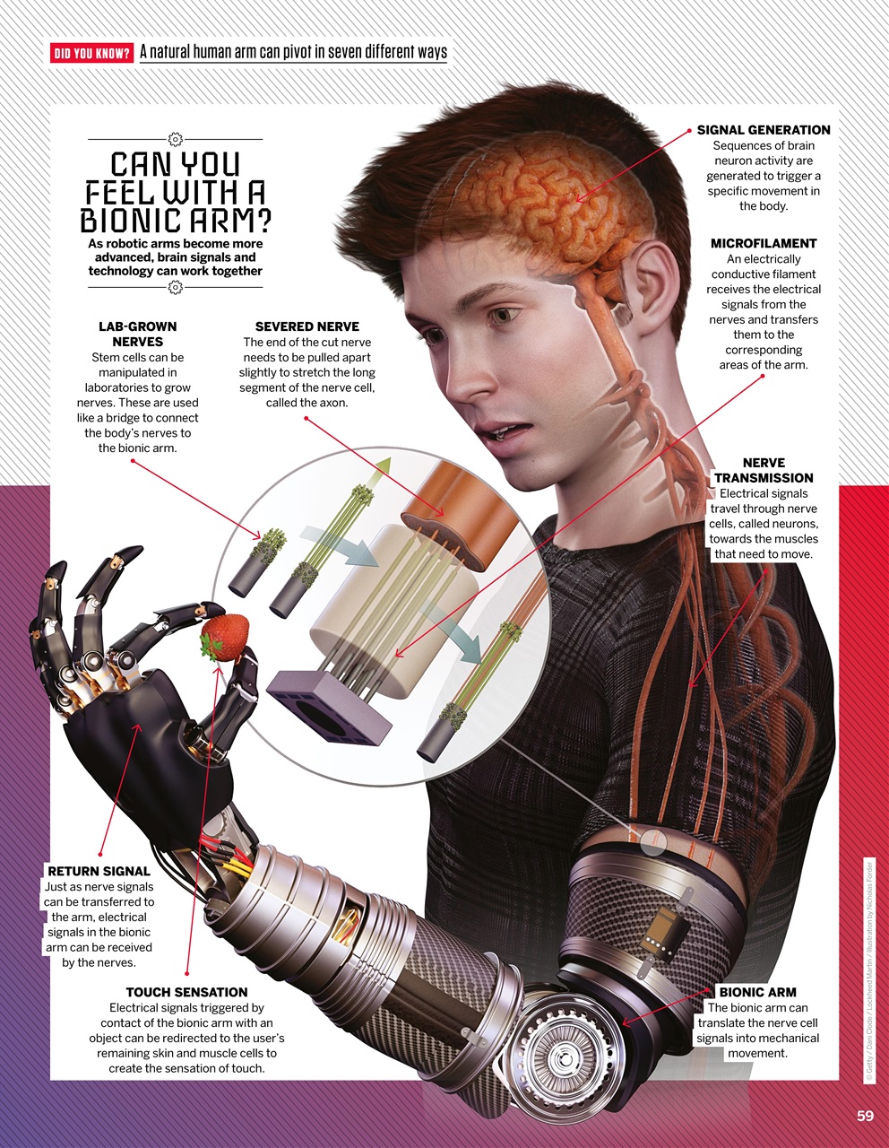 How It Works Preview Pages