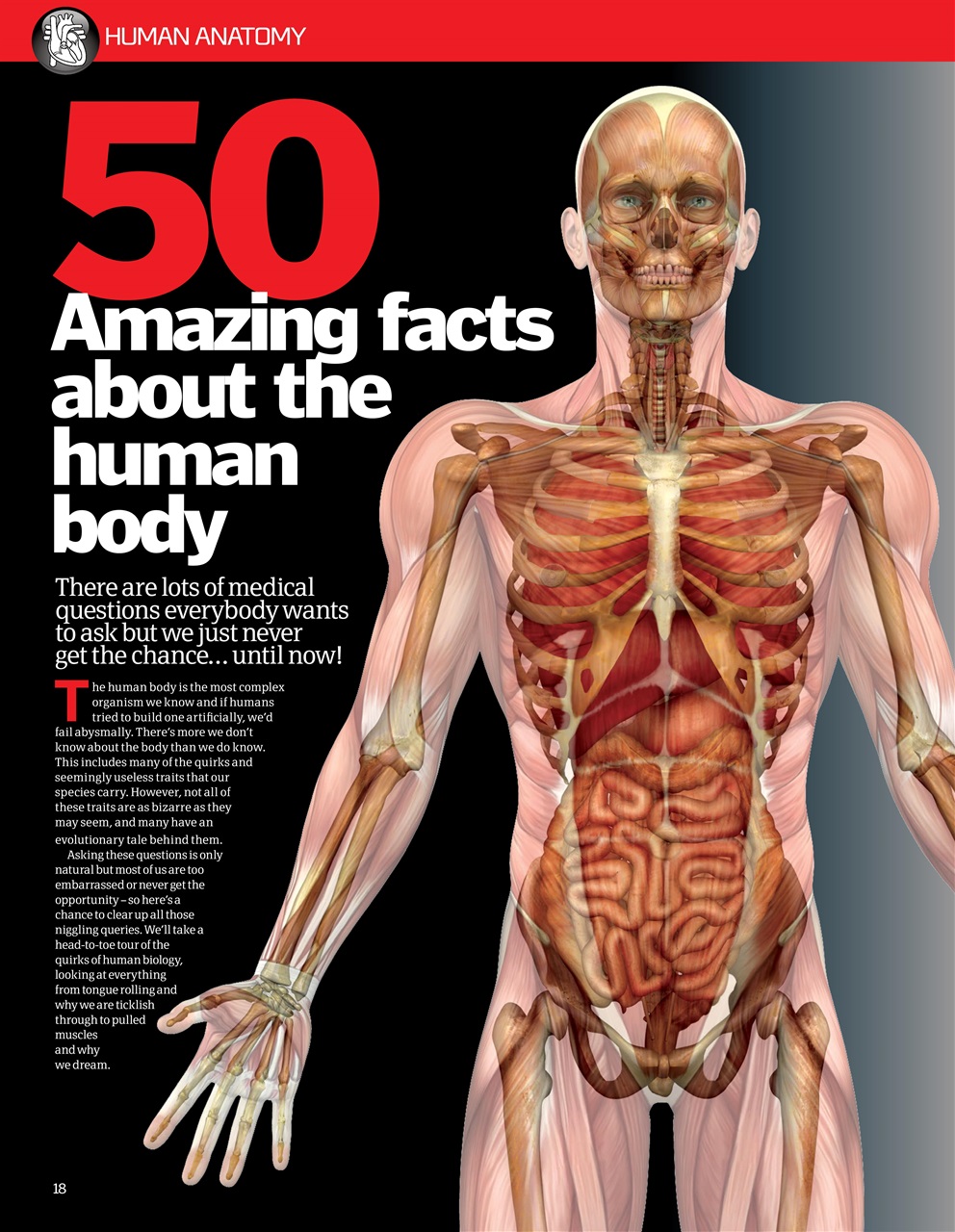 How It Works Bookazine Preview Pages