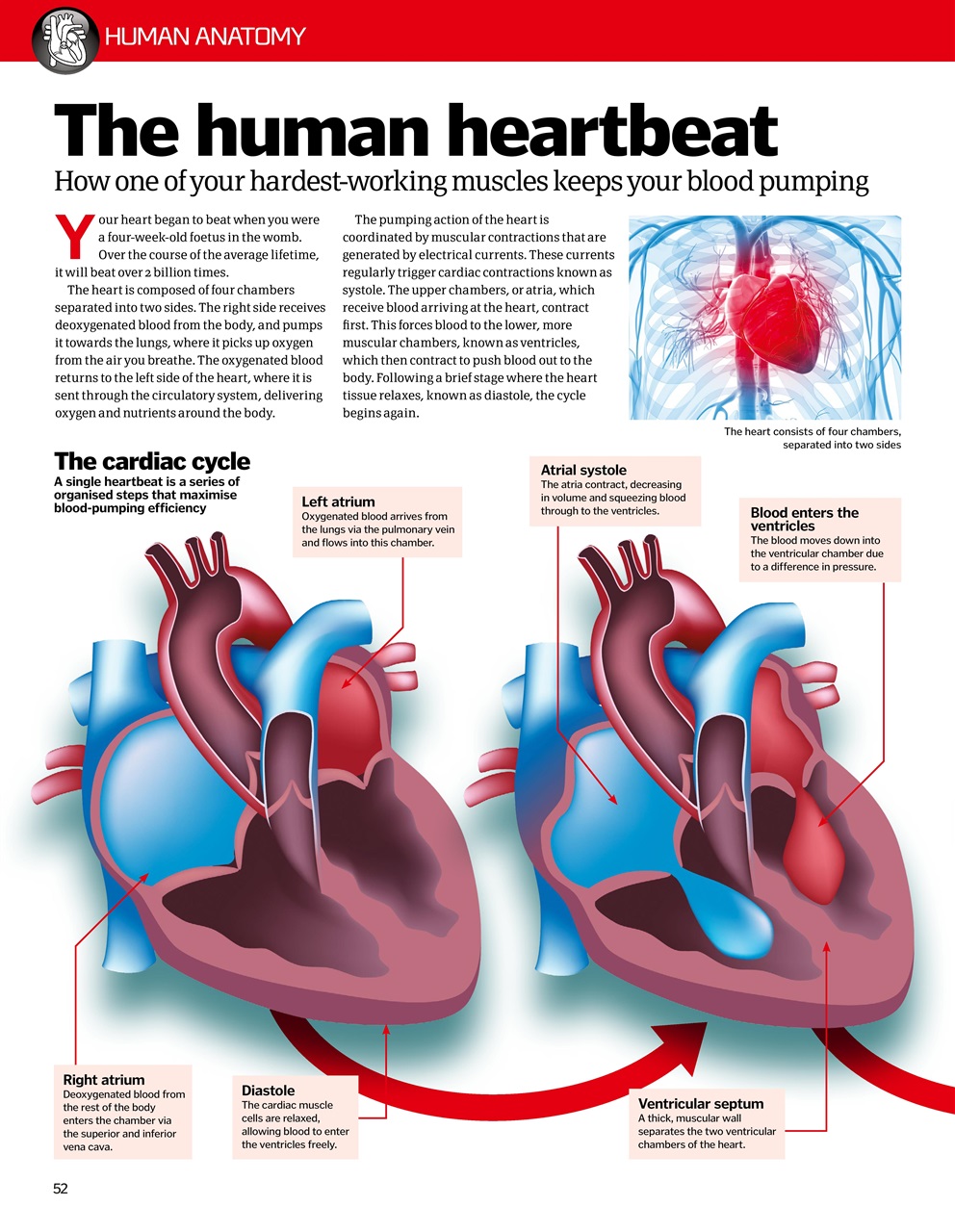 How It Works Bookazine Preview Pages
