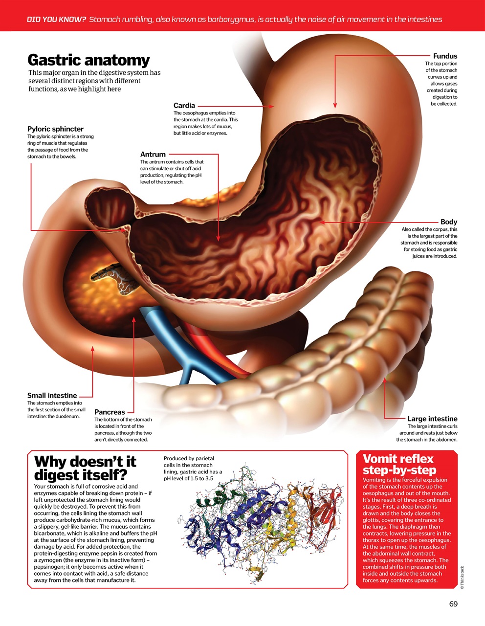How It Works Bookazine Preview Pages