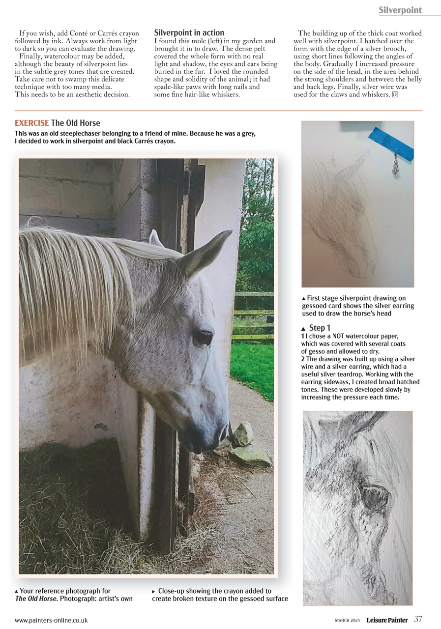 Leisure Painter & The Artist Preview Pages