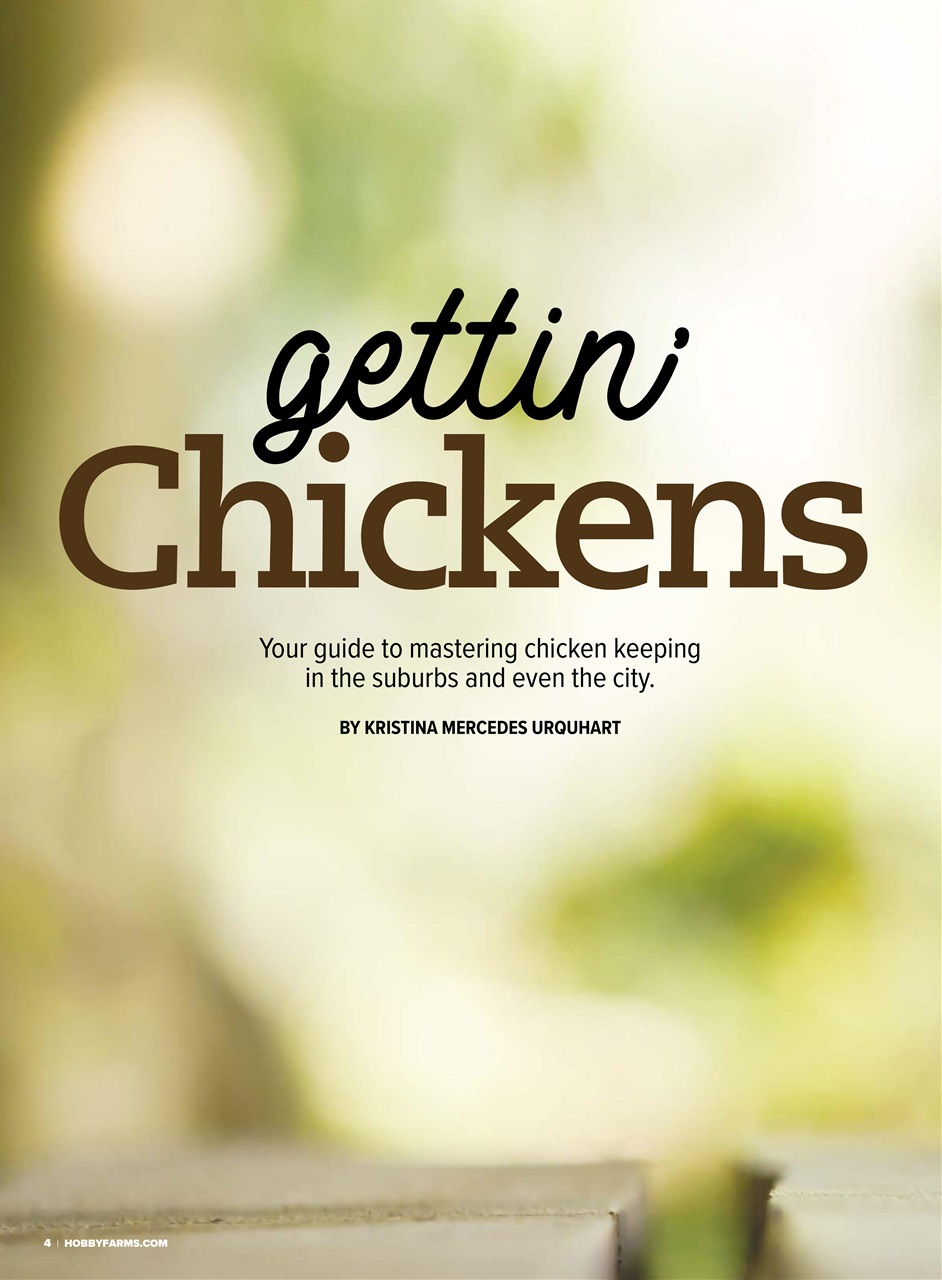 Chickens Magazine Preview Pages