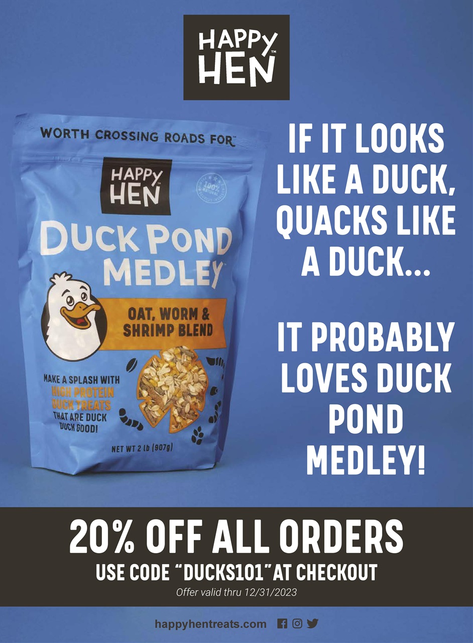 Chickens Magazine Preview Pages