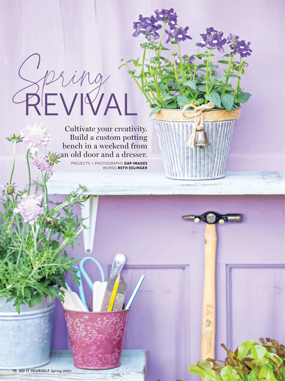 Do It Yourself Preview Pages