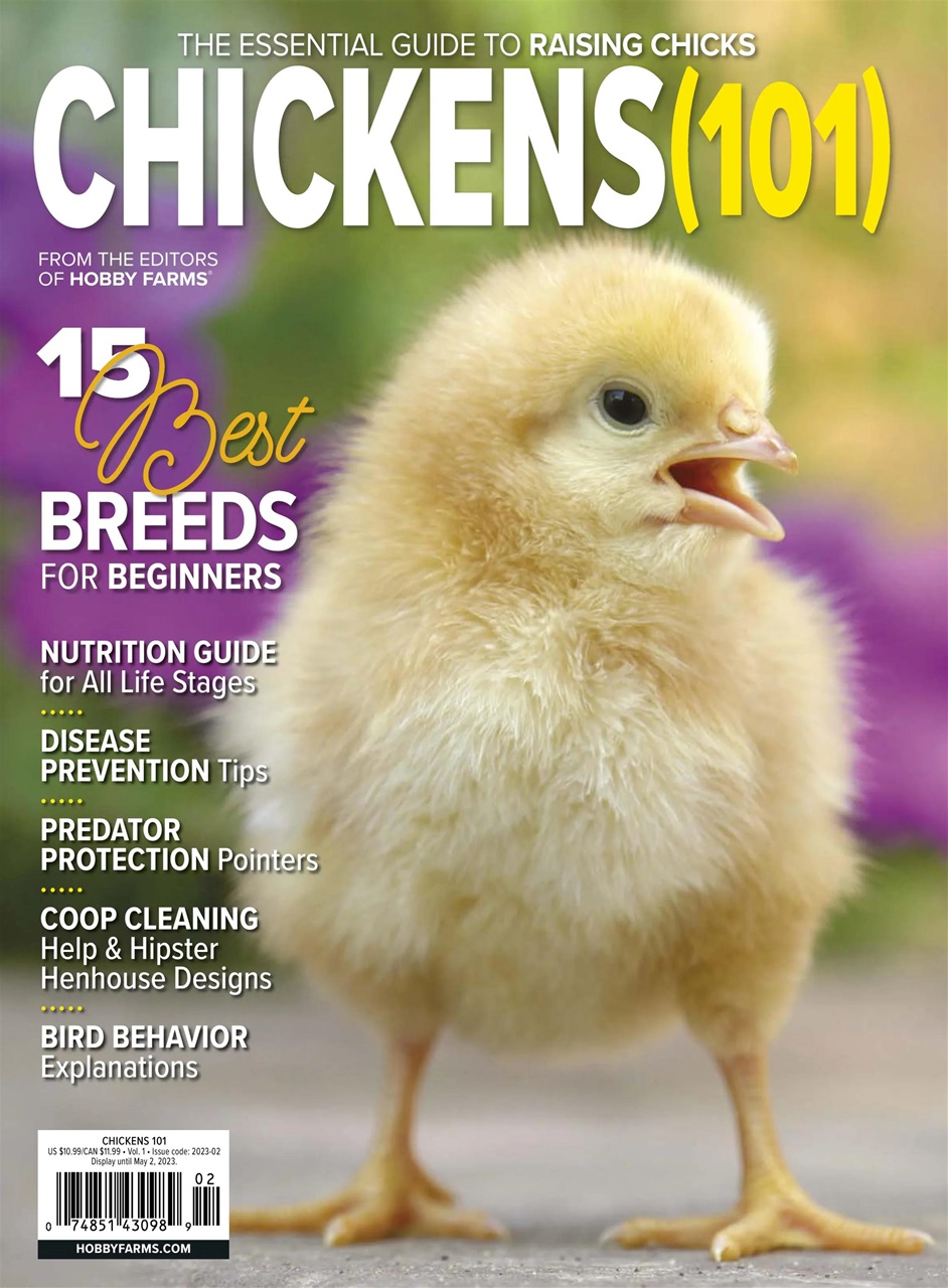 Chickens Magazine Preview Pages
