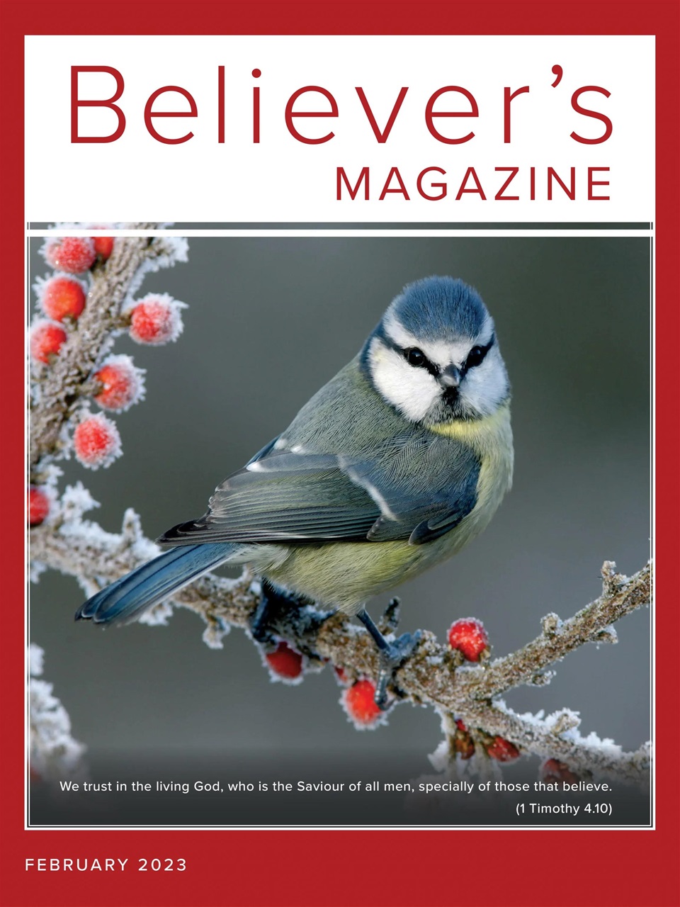 Believer Magazine Preview Pages