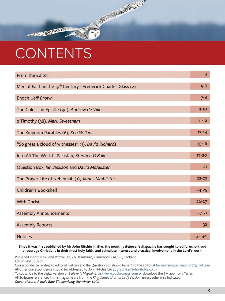 Believer Magazine Preview Pages