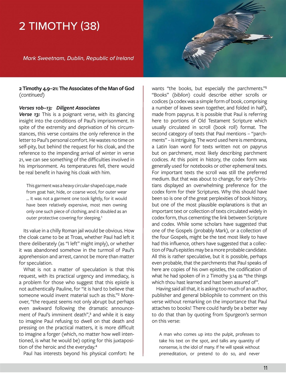 Believer Magazine Preview Pages