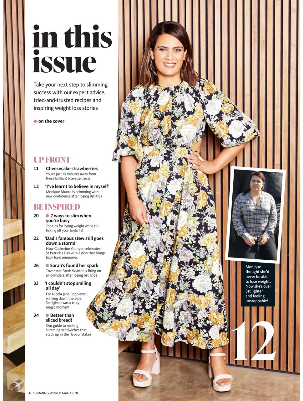 Slimming World Preview Pages