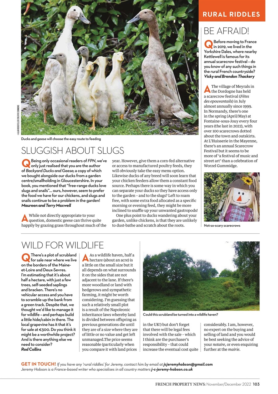 French Property News Preview Pages