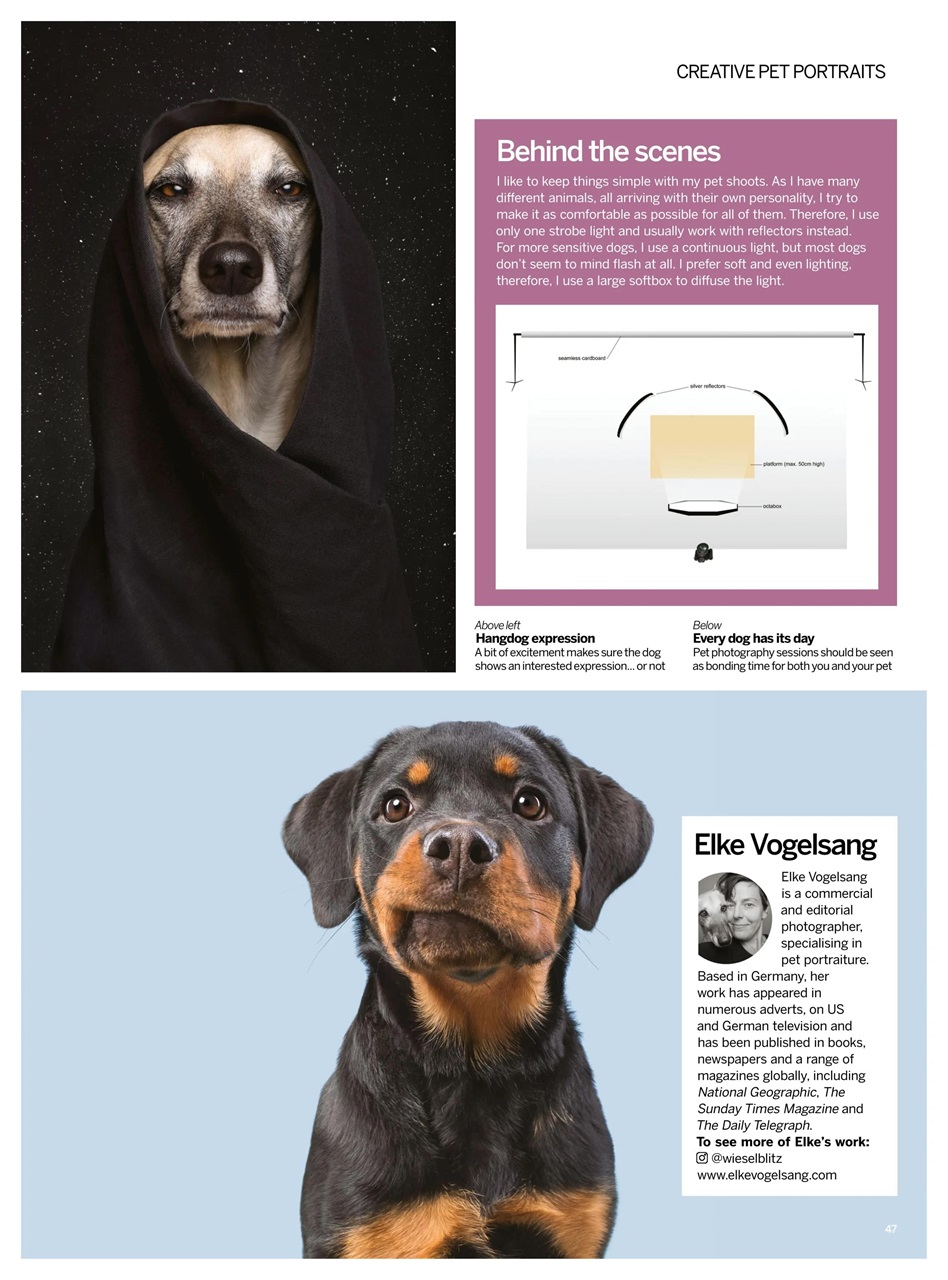 Digital Photographer Preview Pages