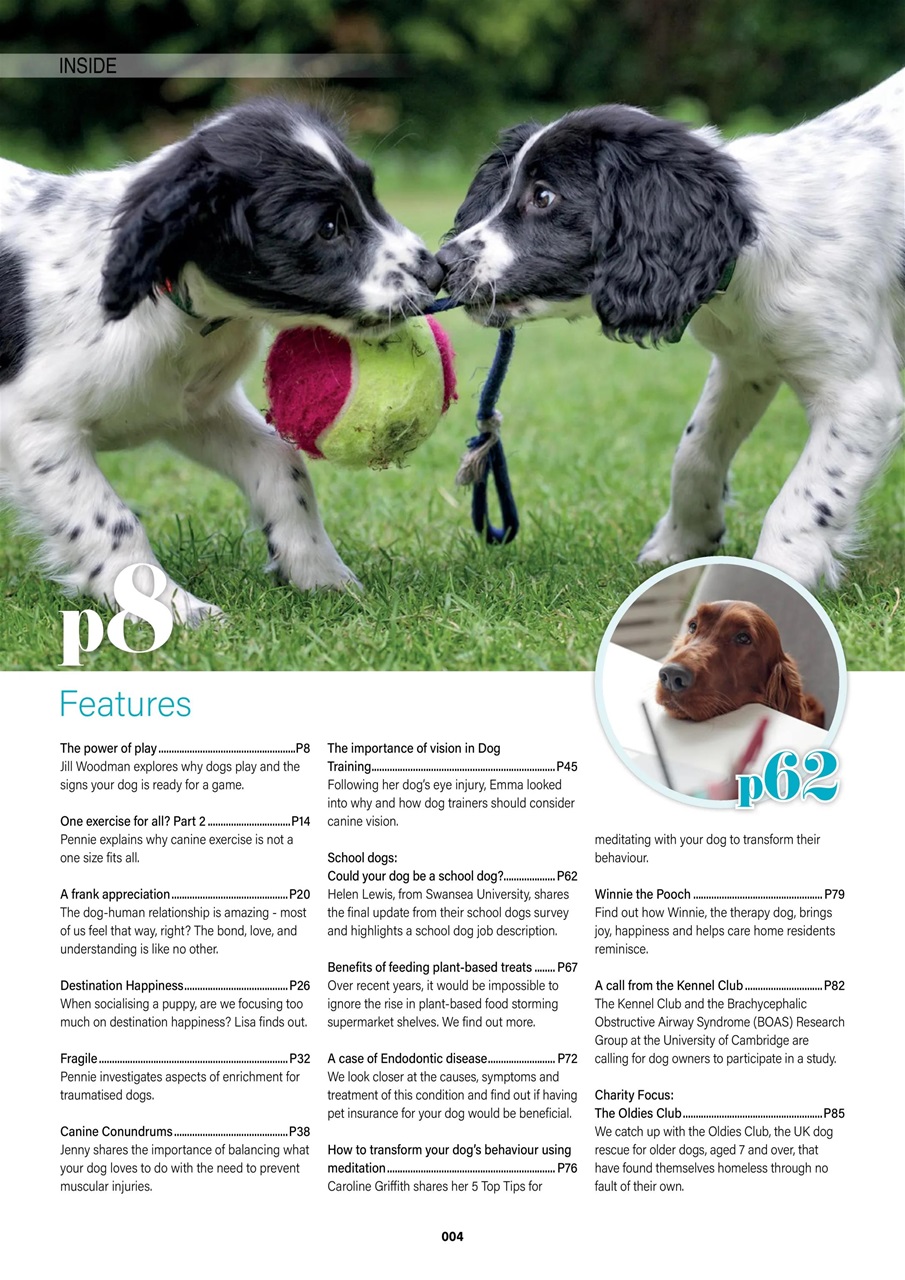 Edition Dog Preview Pages