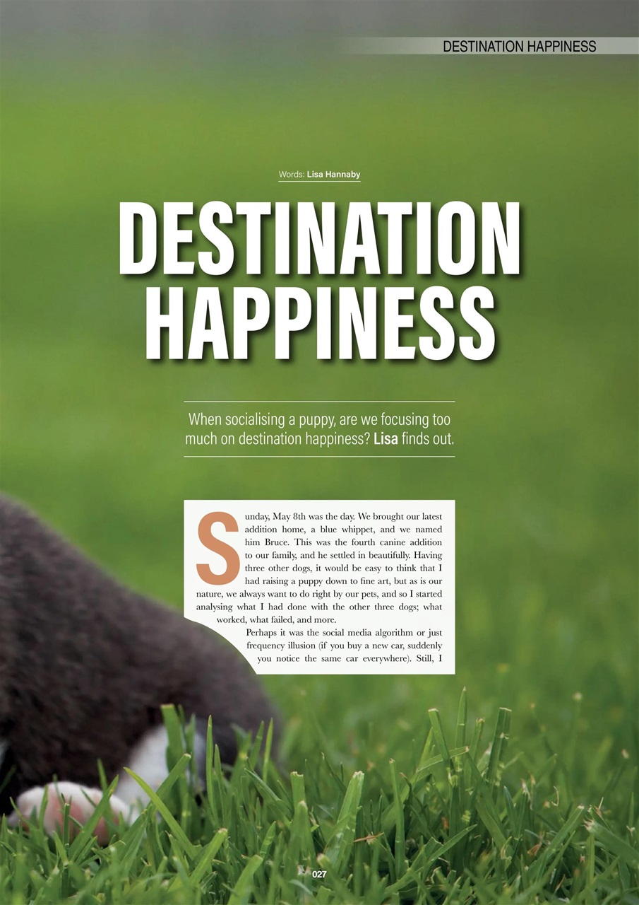 Edition Dog Preview Pages