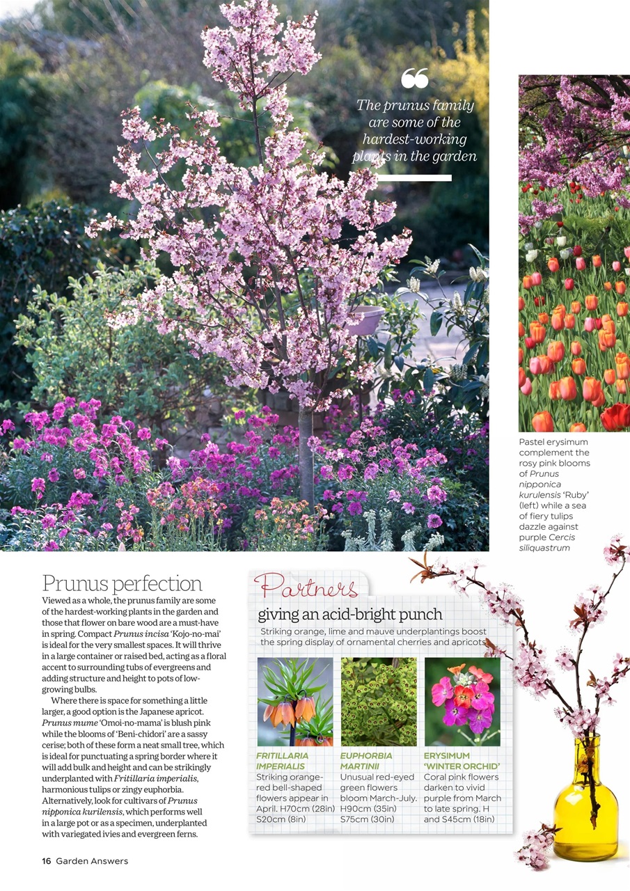 Garden Answers Preview Pages