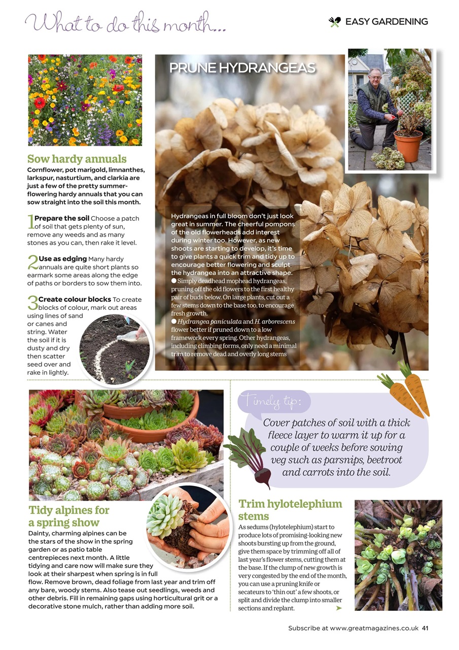 Garden Answers Preview Pages