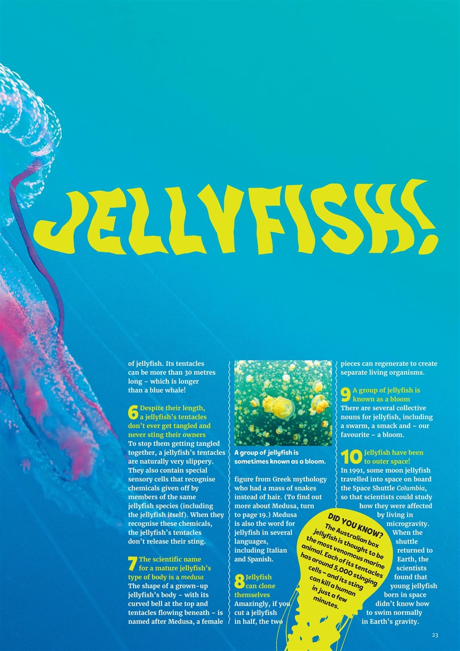 What on Earth! Magazine Preview Pages