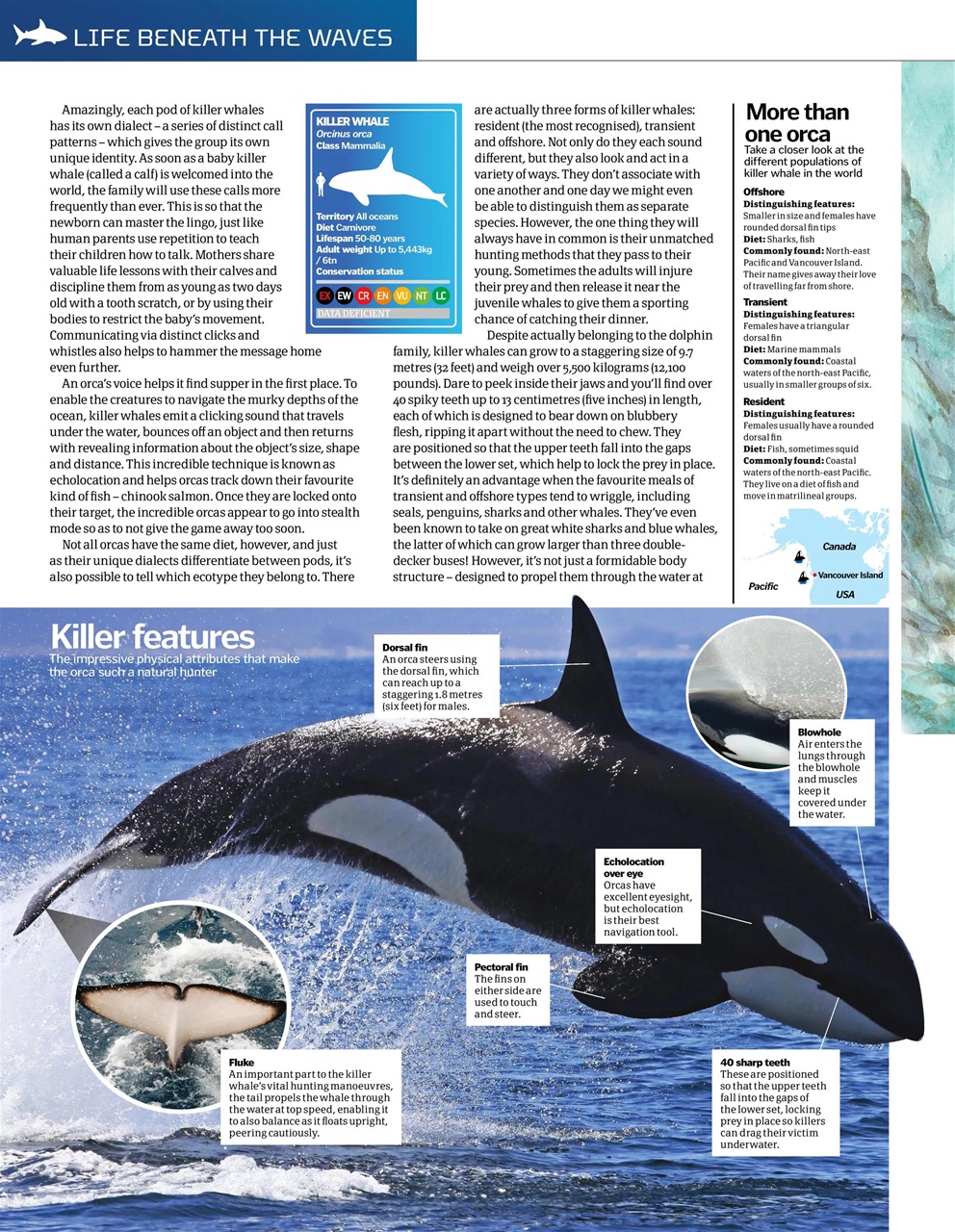 How It Works Bookazine Preview Pages