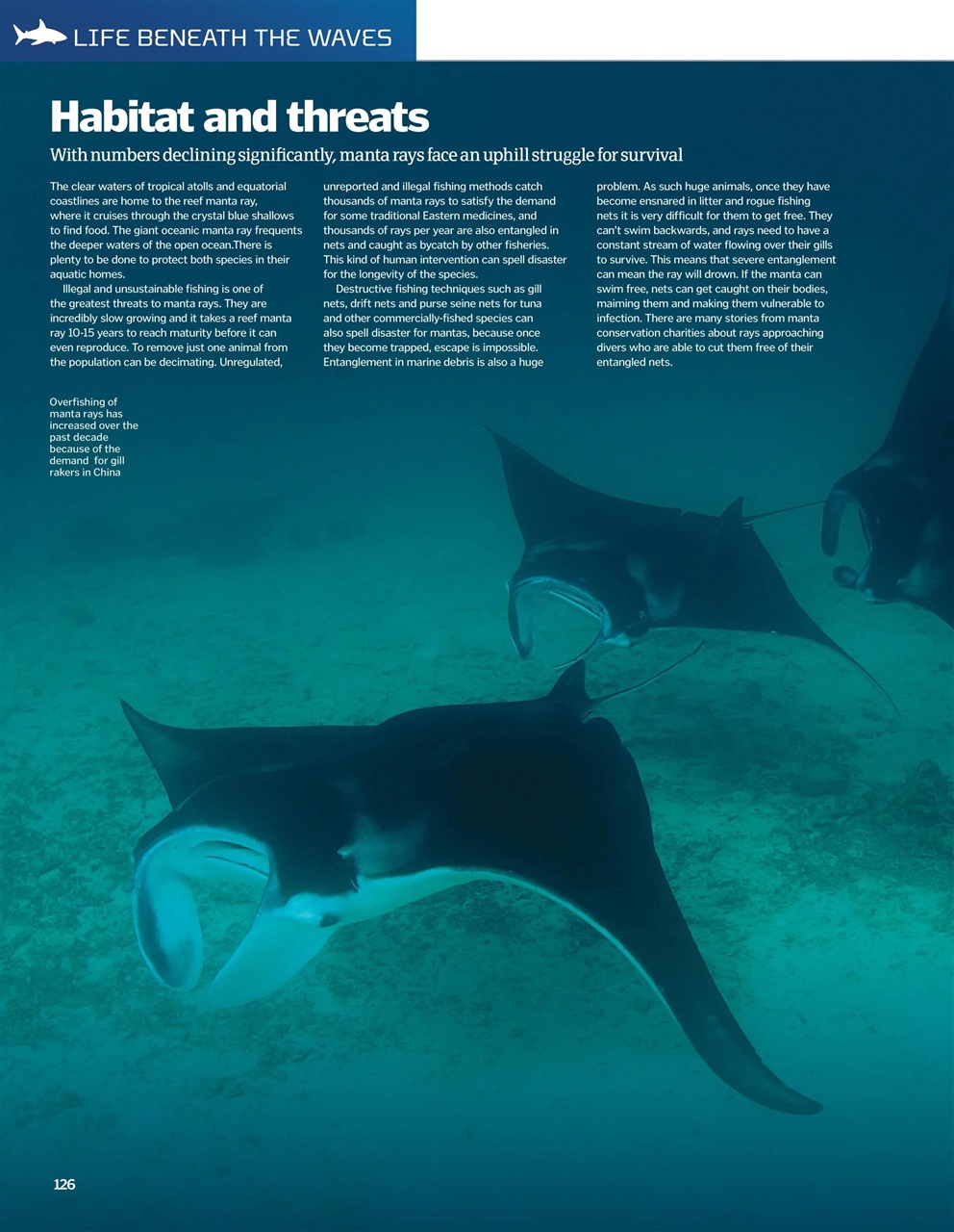 How It Works Bookazine Preview Pages