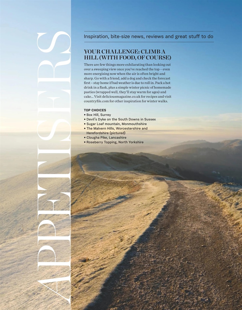 delicious. Magazine Preview Pages