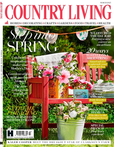 Country Living issue 