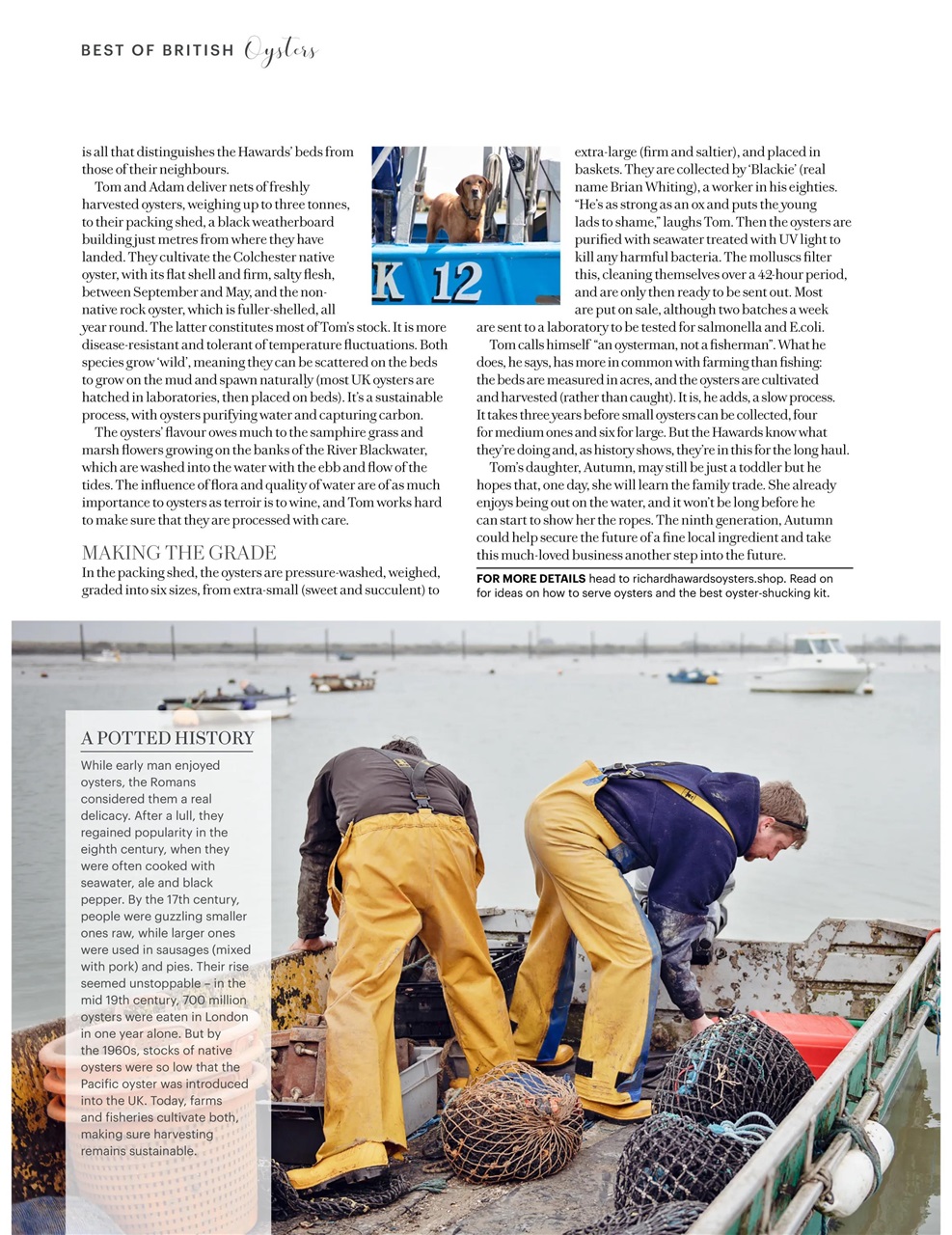 Country Living Preview Pages