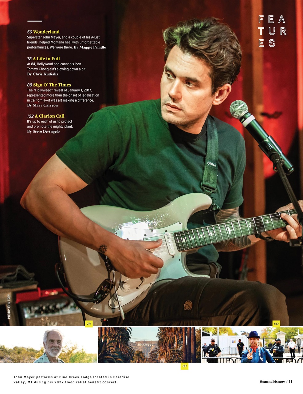 Cannabis Now Preview Pages