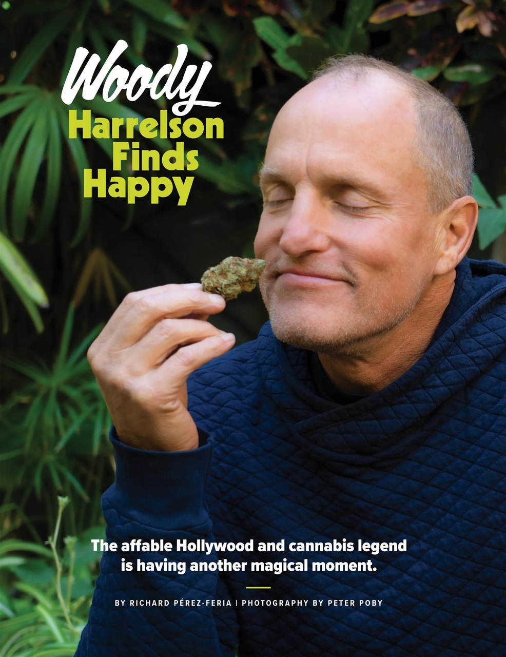 Cannabis Now Preview Pages