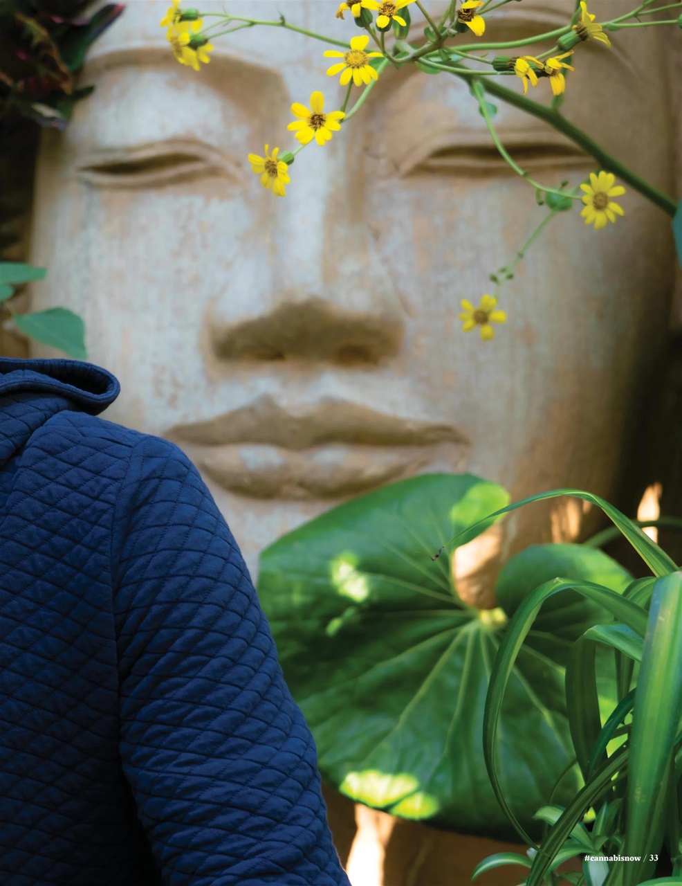 Cannabis Now Preview Pages