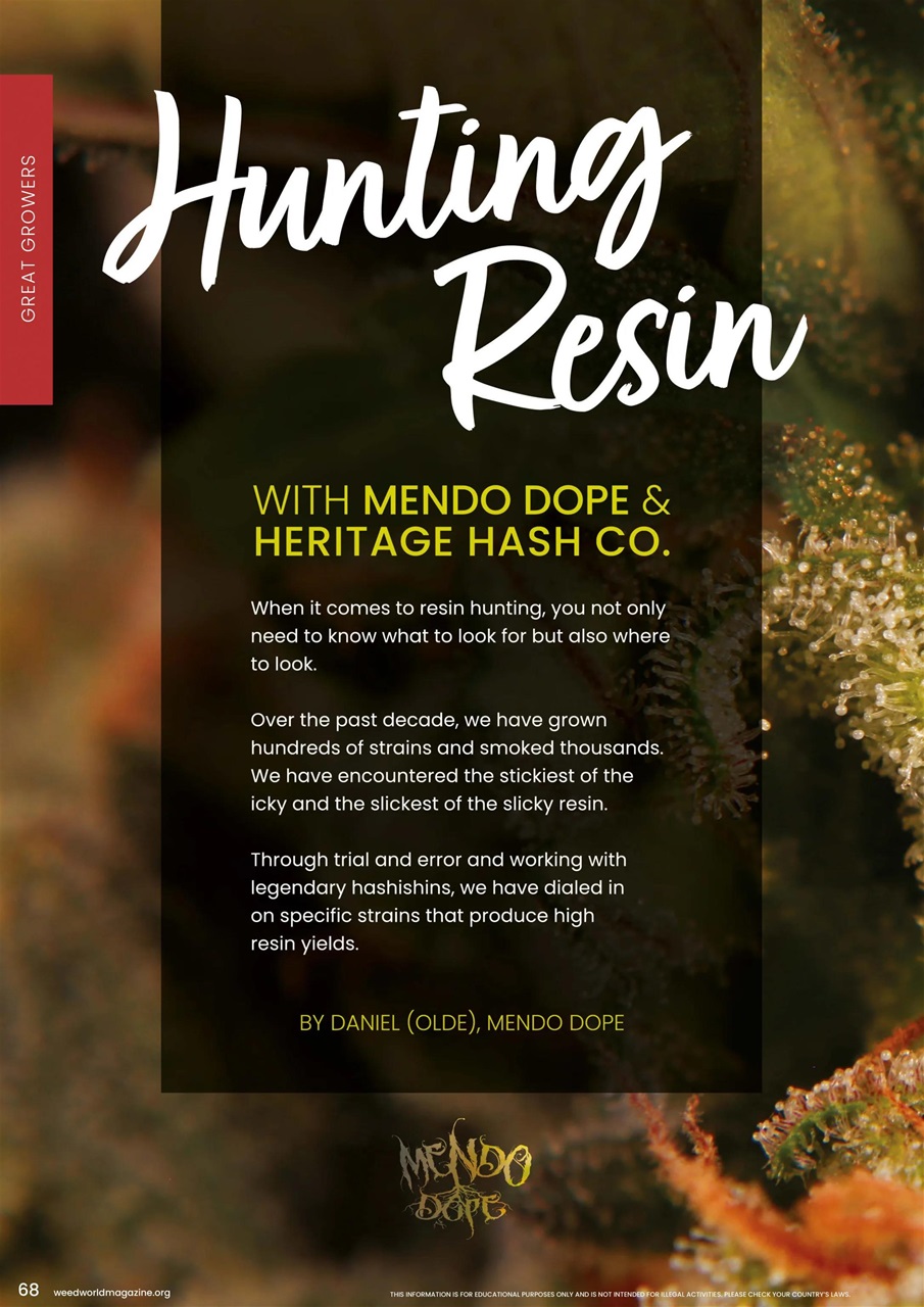 Weed World Preview Pages