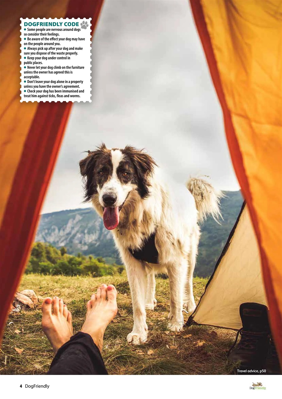 Dog Friendly Preview Pages