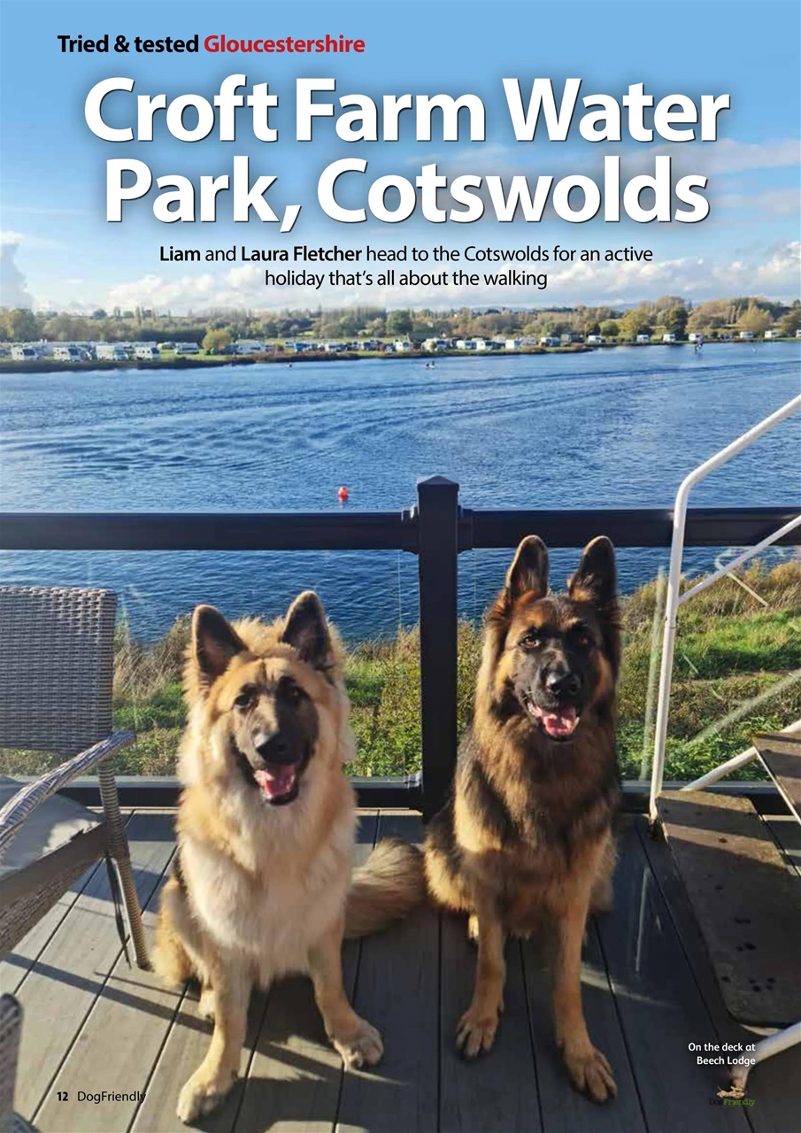 Dog Friendly Preview Pages