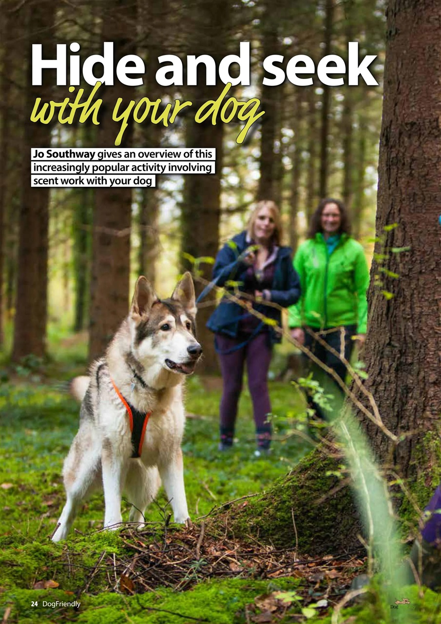 Dog Friendly Preview Pages