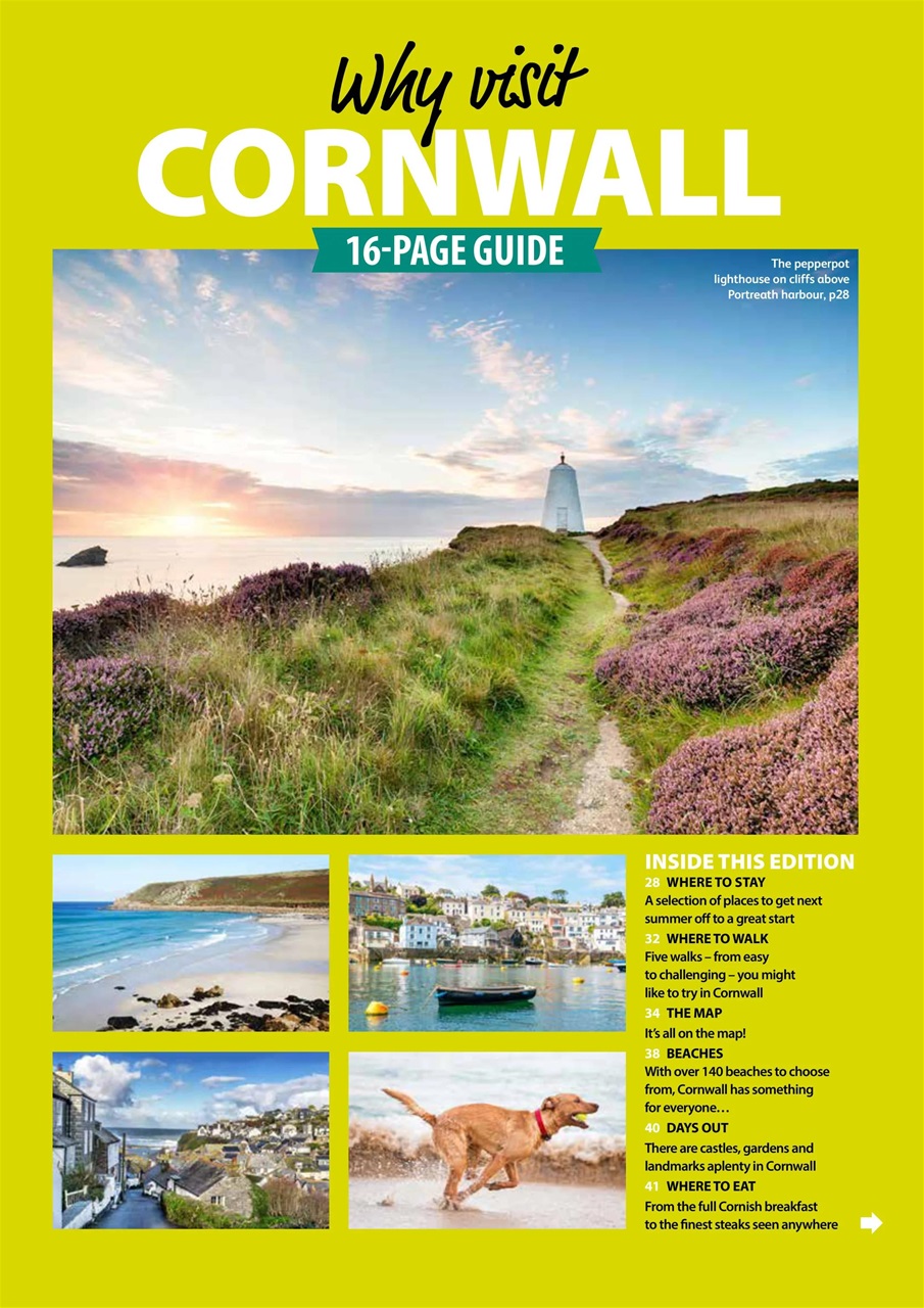 Dog Friendly Preview Pages