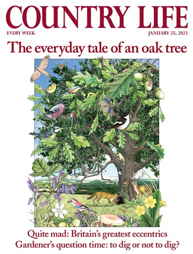Country Life issue 