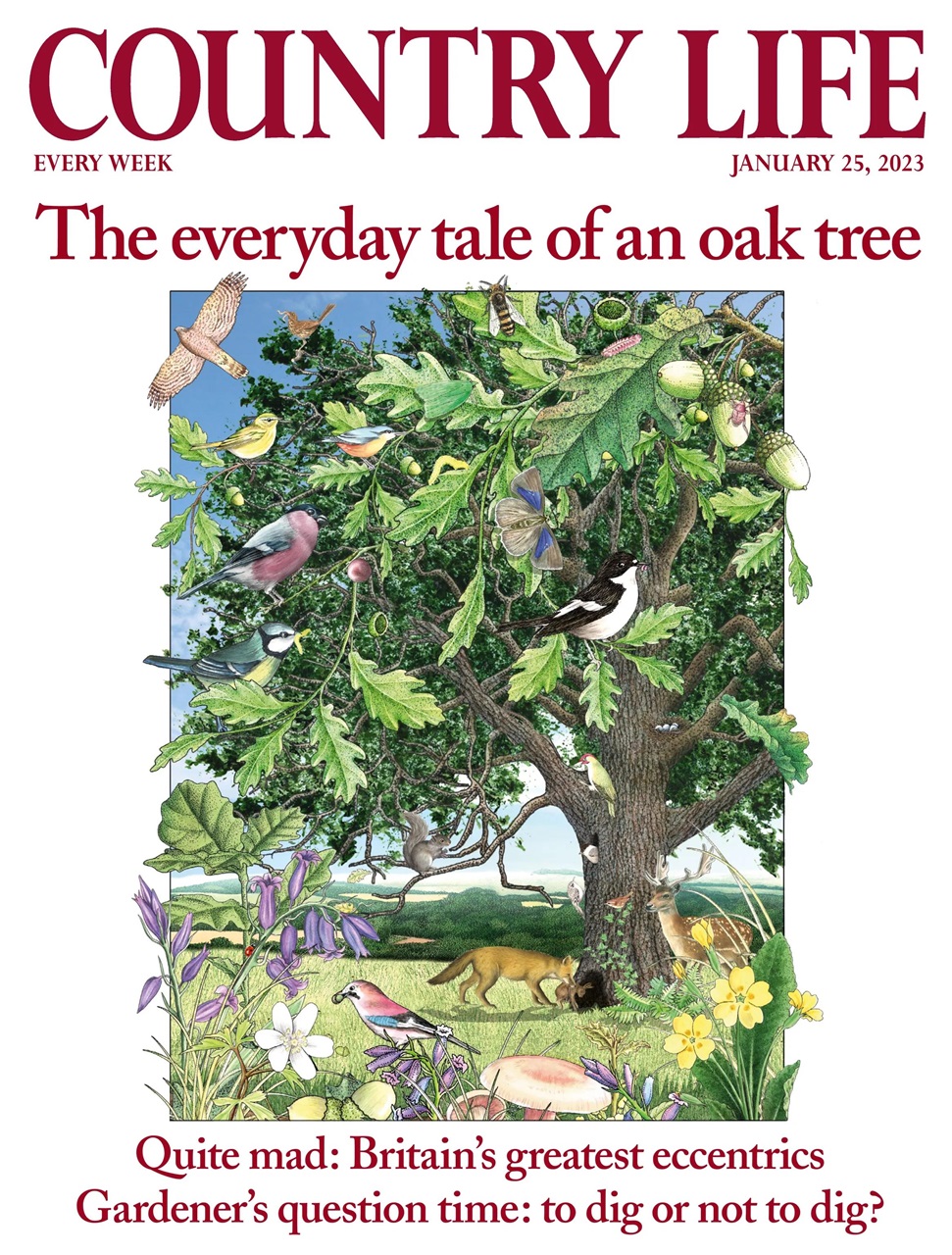 Country Life Preview Pages