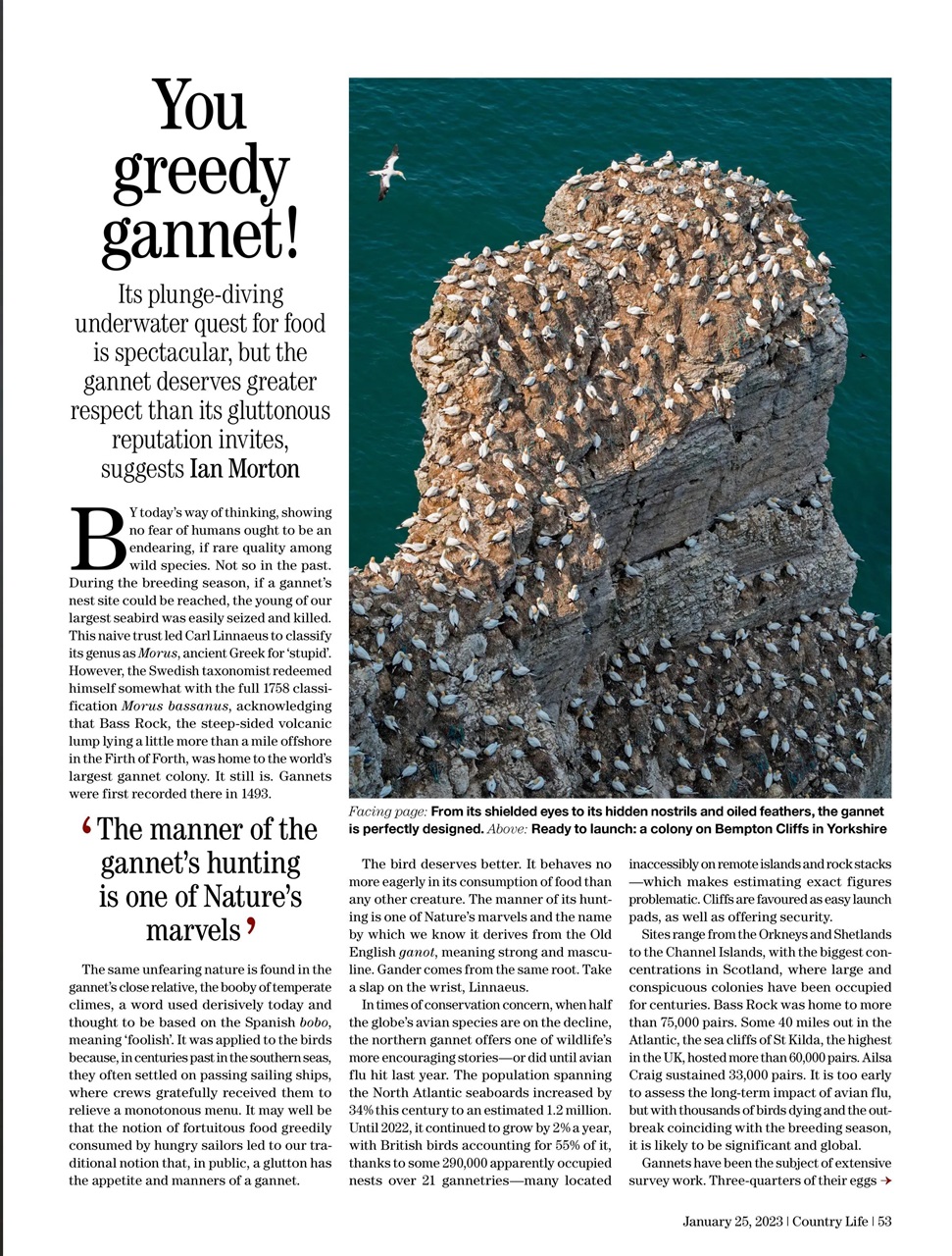 Country Life Preview Pages