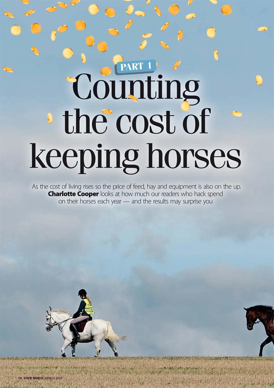 Your Horse Preview Pages