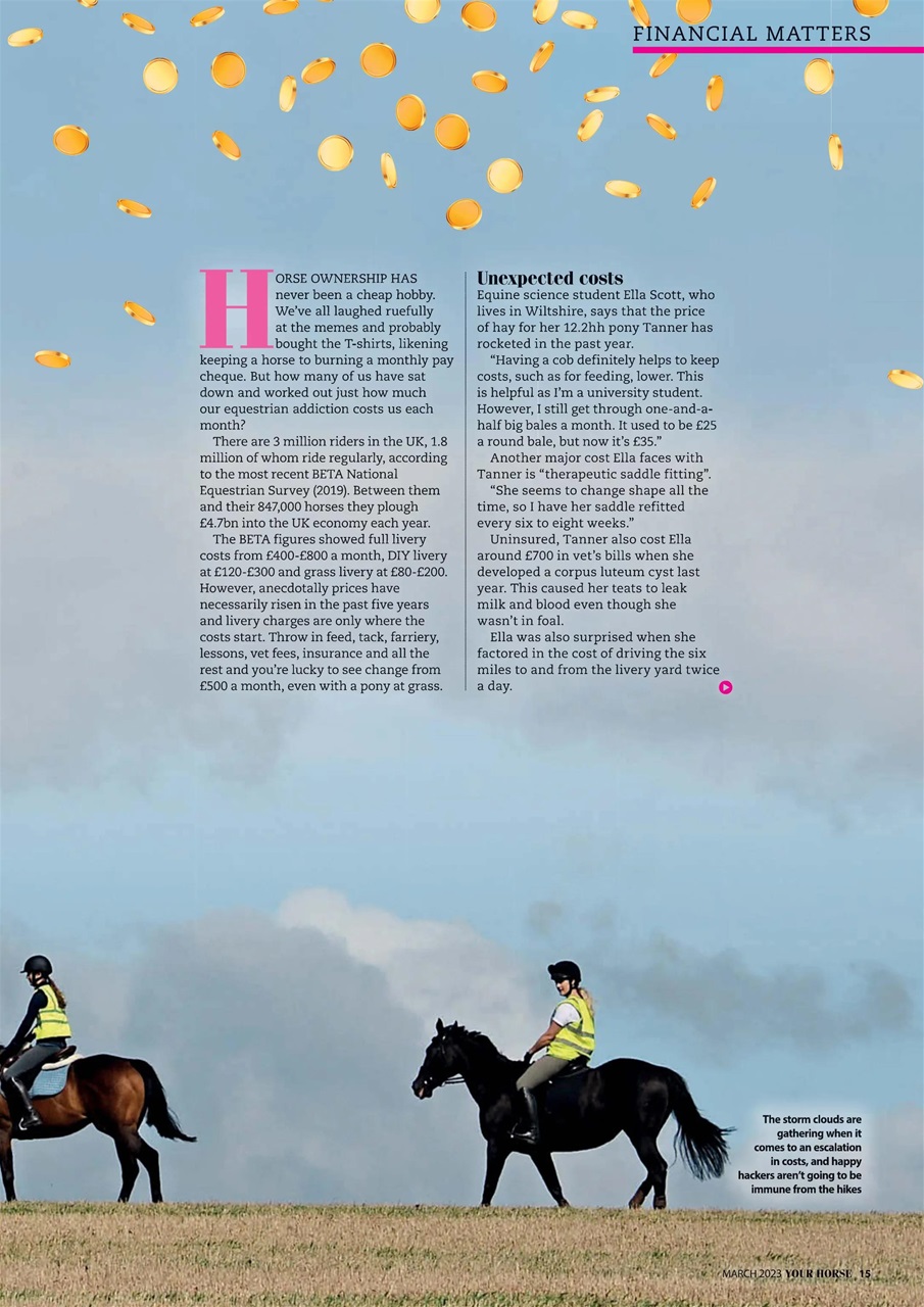 Your Horse Preview Pages