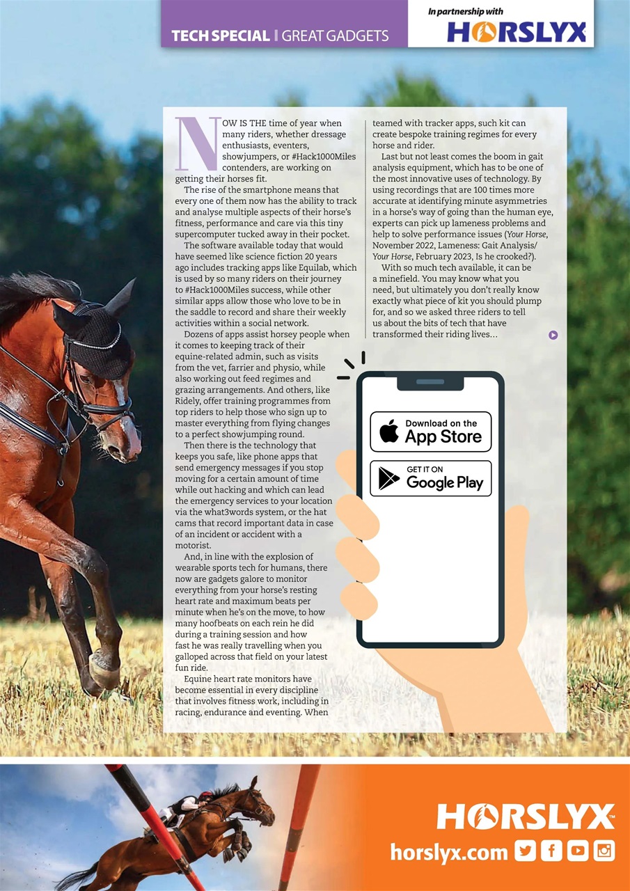 Your Horse Preview Pages